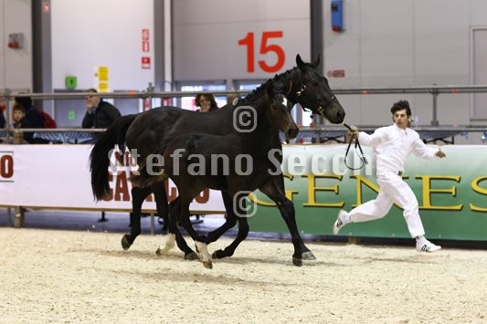 PRINCESS LIESA_MILANO_2010_SS3_7455.jpg